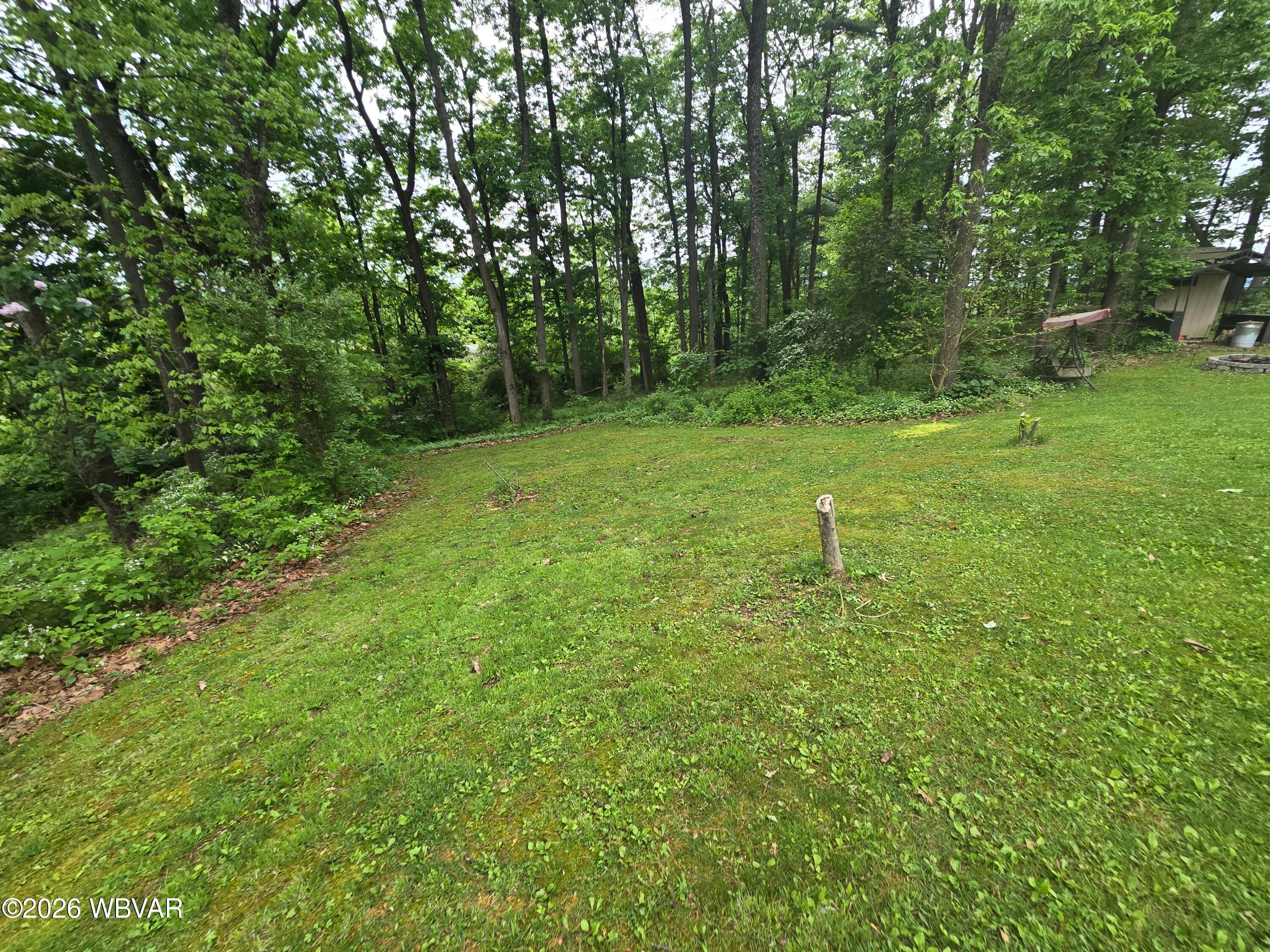 119 Chestnut Ridge Road Jersey Shore, PA 17740 - Photo 7 of 64 1000109897
