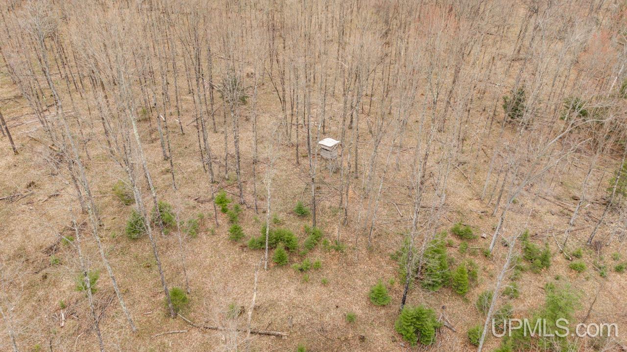 Tbd Hupp Road Vulcan, MI 49892 - Photo 4 of 12