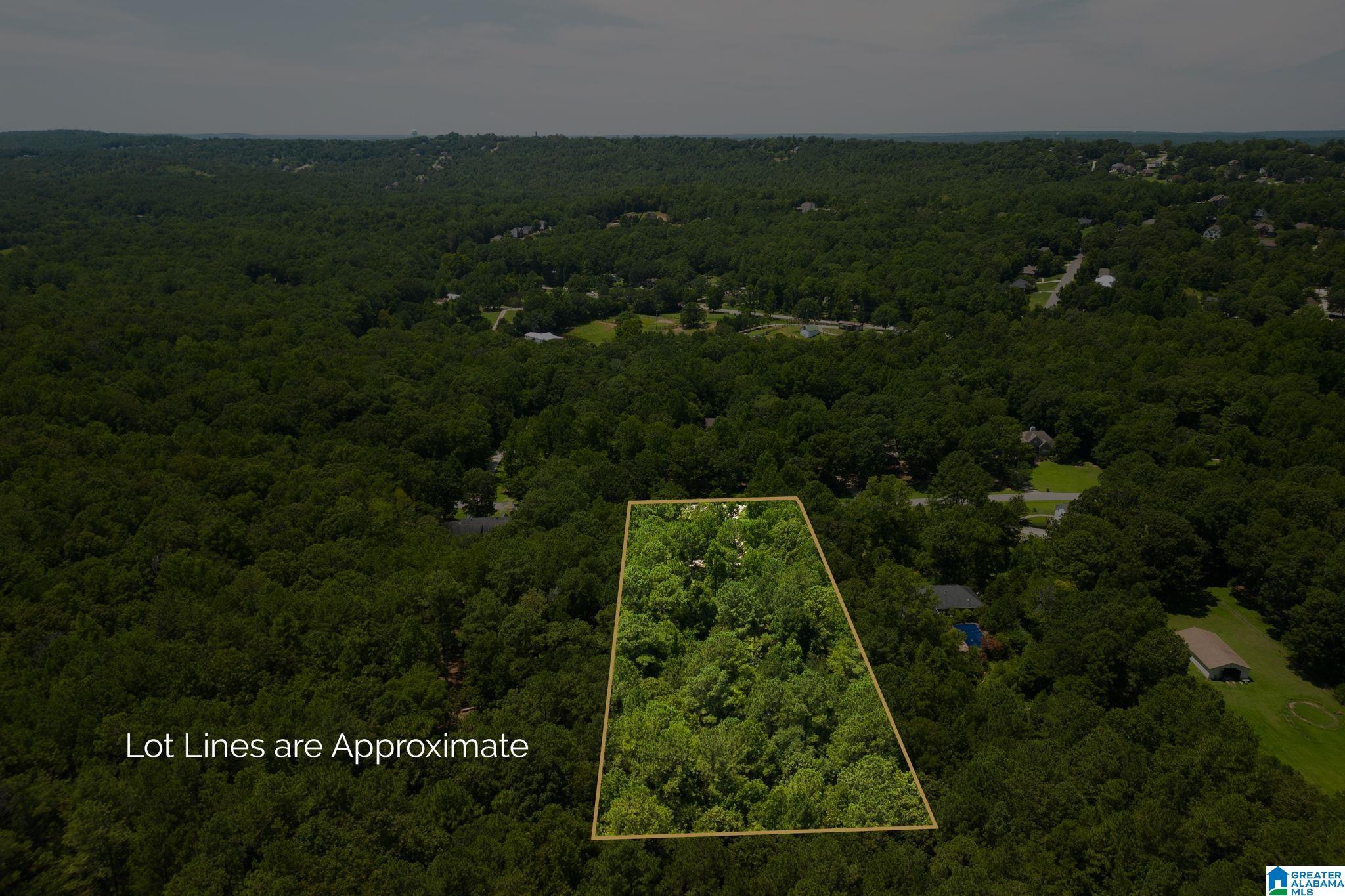 132 Chestnut Lane Helena, AL 35080 - Photo 55 of 59