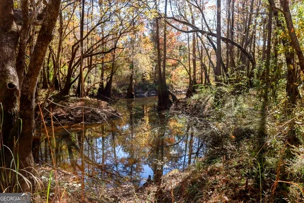 a view of a yard with some trees