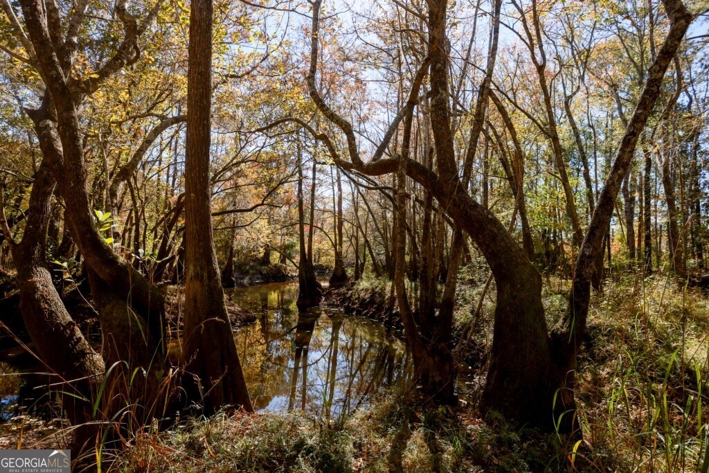 0 Twin Forks Rd/martin Road, Unit TRACT 5 Statesboro, GA 30458 - Photo 2 of 11 a view of a tree