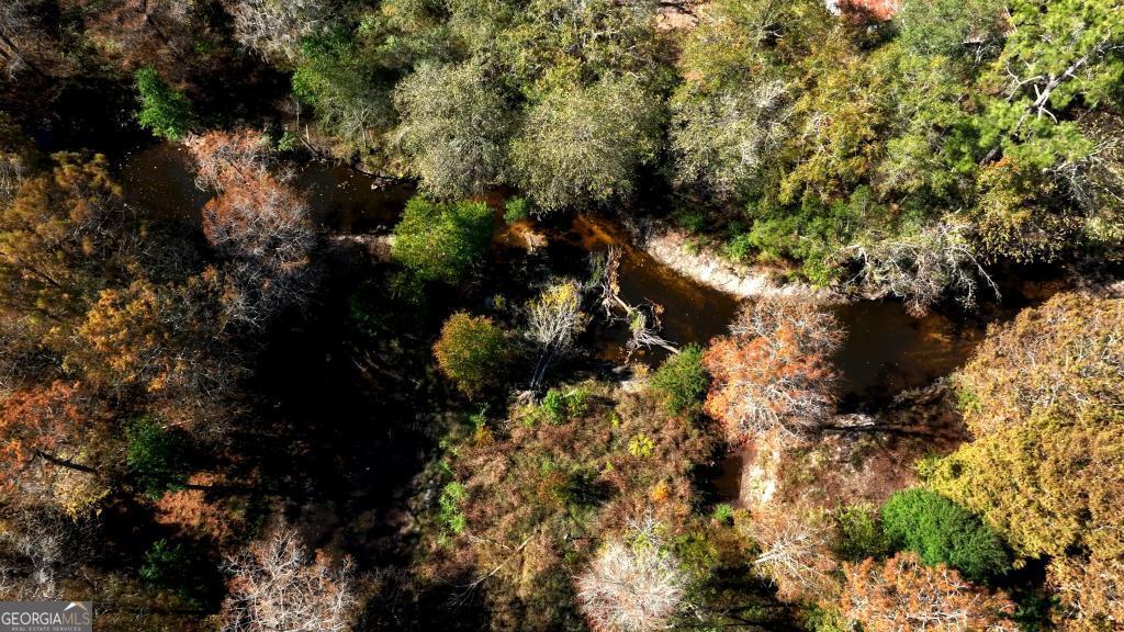 0 Twin Forks Rd/martin Road, Unit TRACT 5 Statesboro, GA 30458 - Photo 4 of 11 a picture of tree