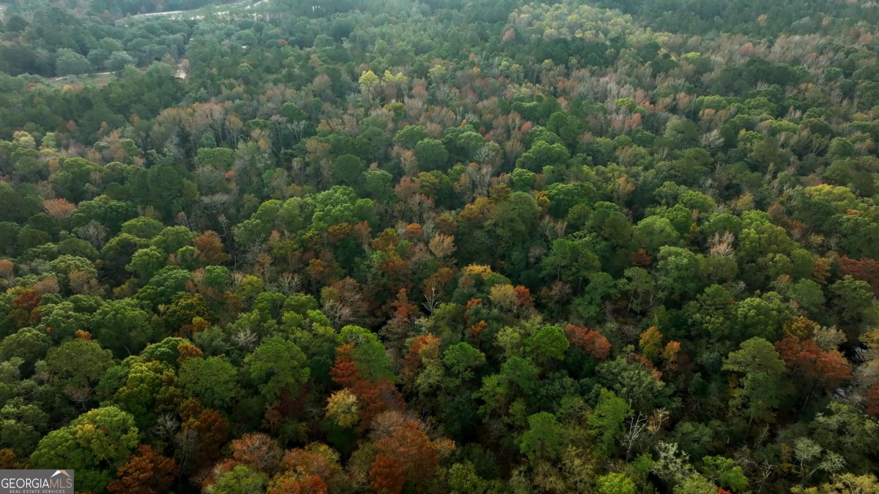 0 Twin Forks Rd/martin Road, Unit TRACT 5 Statesboro, GA 30458 - Photo 5 of 11