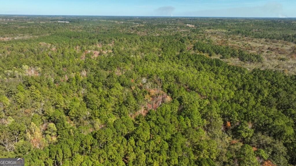 0 Twin Forks Rd/martin Road, Unit TRACT 5 Statesboro, GA 30458 - Photo 7 of 11 a view of a green field with lots of bushes