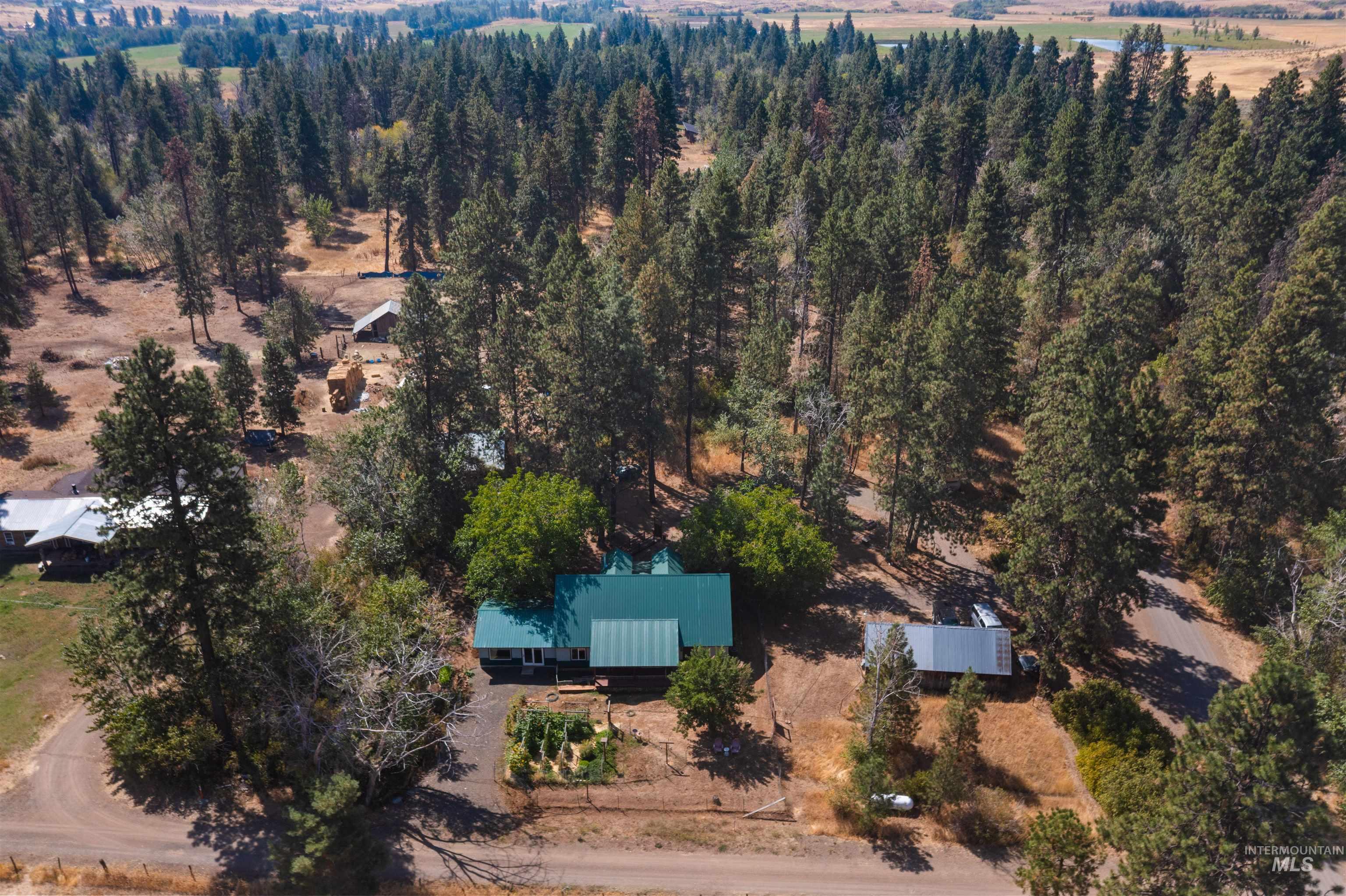 3488 Ward Road Cambridge, ID 83610 - Photo 45 of 50 Main residence with a green metal roof, surrounded by mature trees and a gravel driveway