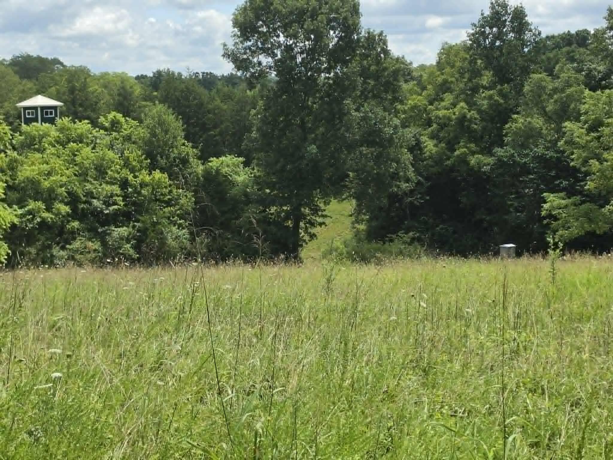 811 Hickory Ridge Road Waddy, KY 40076 - Photo 52 of 79 deer stand view