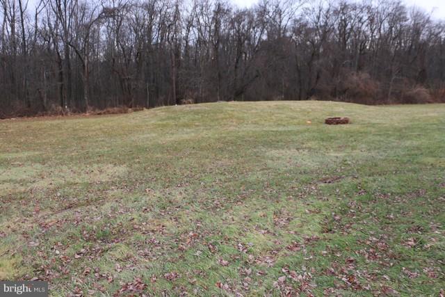 315 Coon Road Gardners, PA 17324 - Photo 20 of 21 Rear Yard