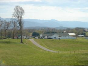 Lot 29 Stockton Road Chuckey, TN 37641 - Photo 6 of 7 Photo 6