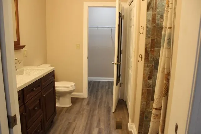 a bathroom with a sink and a toilet