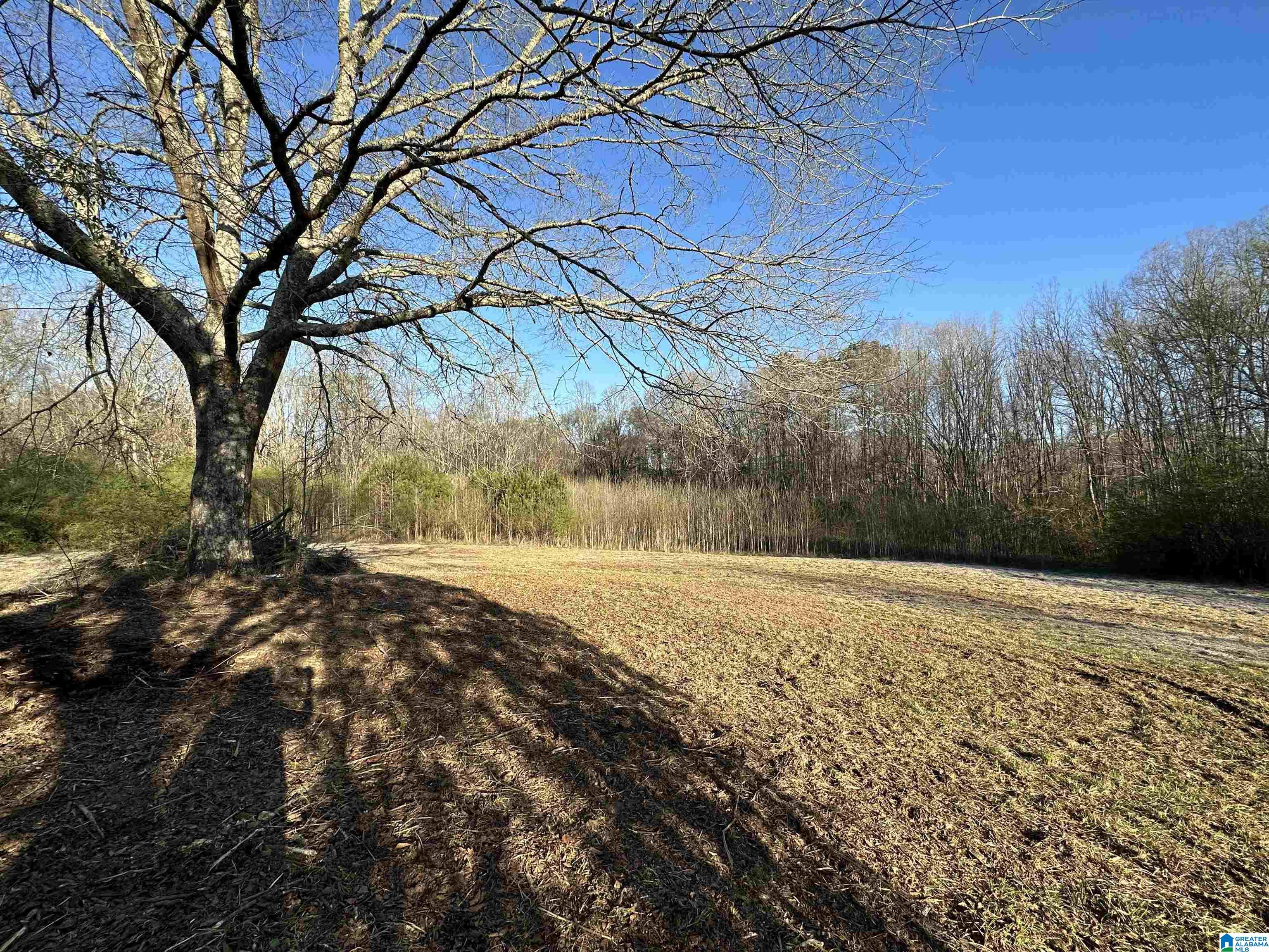 5907 Peeks Hill Road Ohatchee, AL 36271 - Photo 10 of 52
