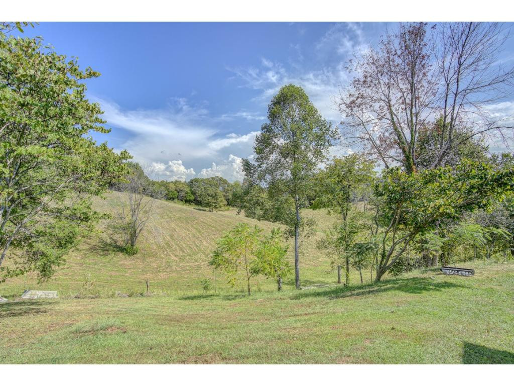 296 Taylor Road Fall Branch, TN 37656 - Photo 34 of 36 Photo 34