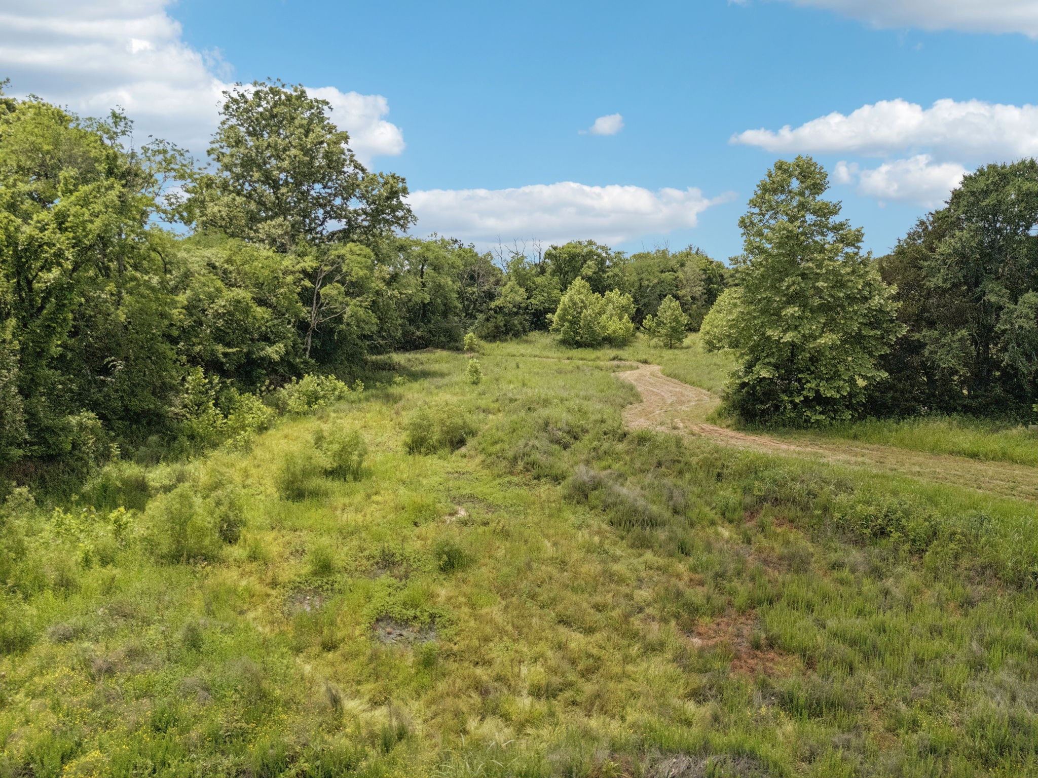 0 Rally Hill Road Columbia, TN 38401 - Photo 50 of 55 a view of a big yard with lots of green space