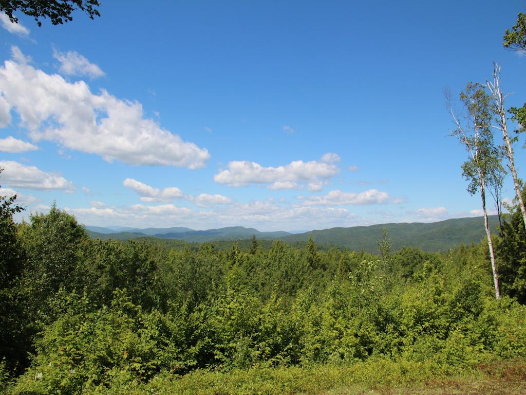 Snow Rd Hill, Unit 4 Hill, NH 03243 - Photo 2 of 14