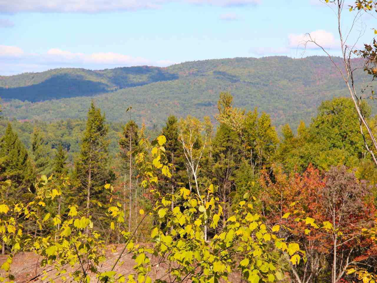 Snow Rd Hill, Unit 4 Hill, NH 03243 - Photo 11 of 14