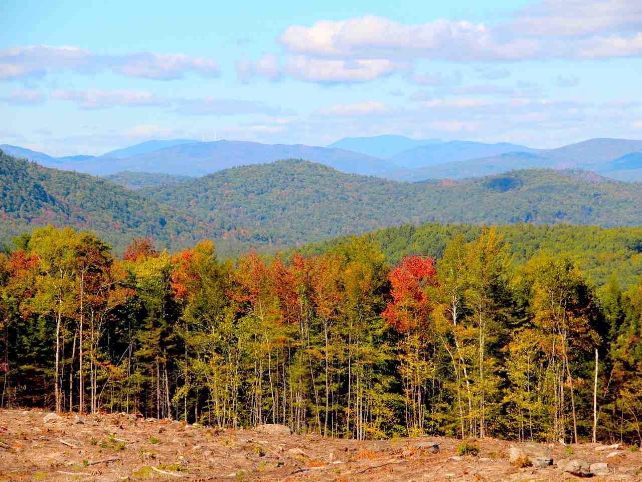 Snow Rd Hill, Unit 4 Hill, NH 03243 - Photo 12 of 14