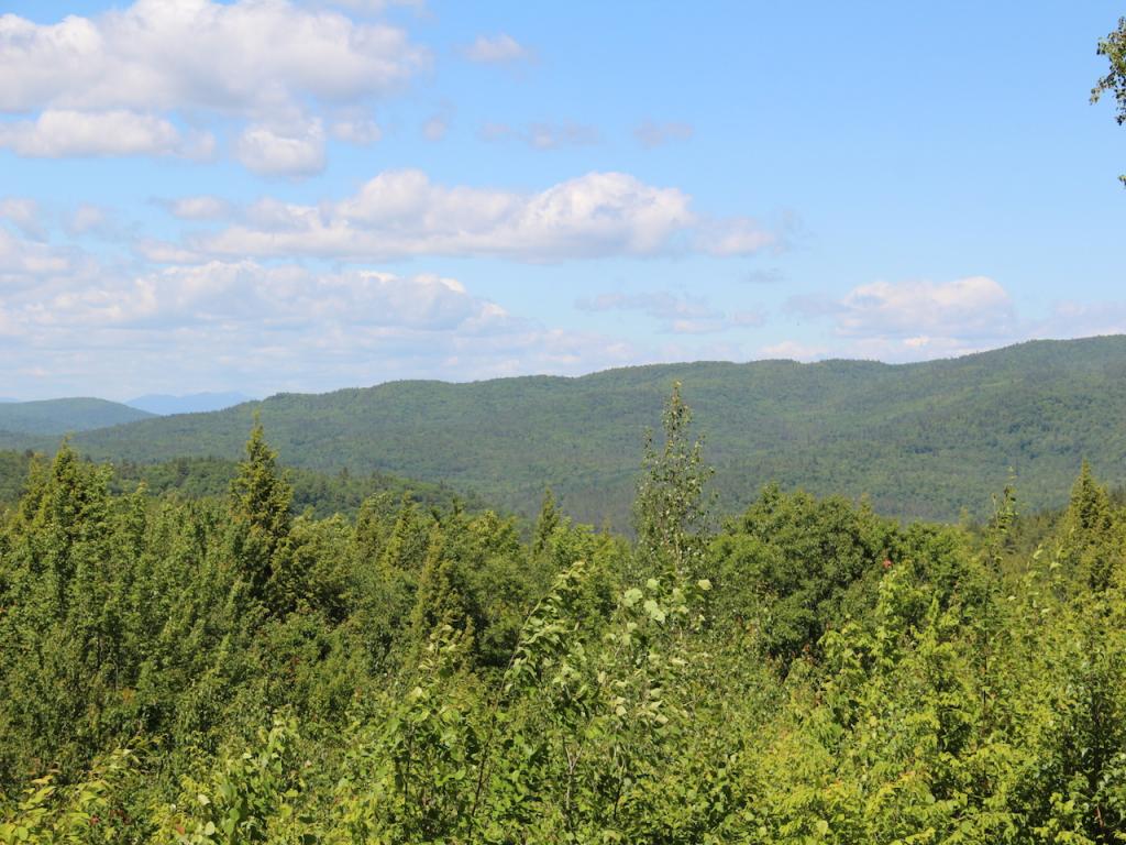 Snow Rd Hill, Unit 4 Hill, NH 03243 - Photo 3 of 14