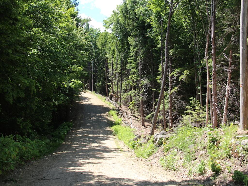 Snow Rd Hill, Unit 4 Hill, NH 03243 - Photo 5 of 14