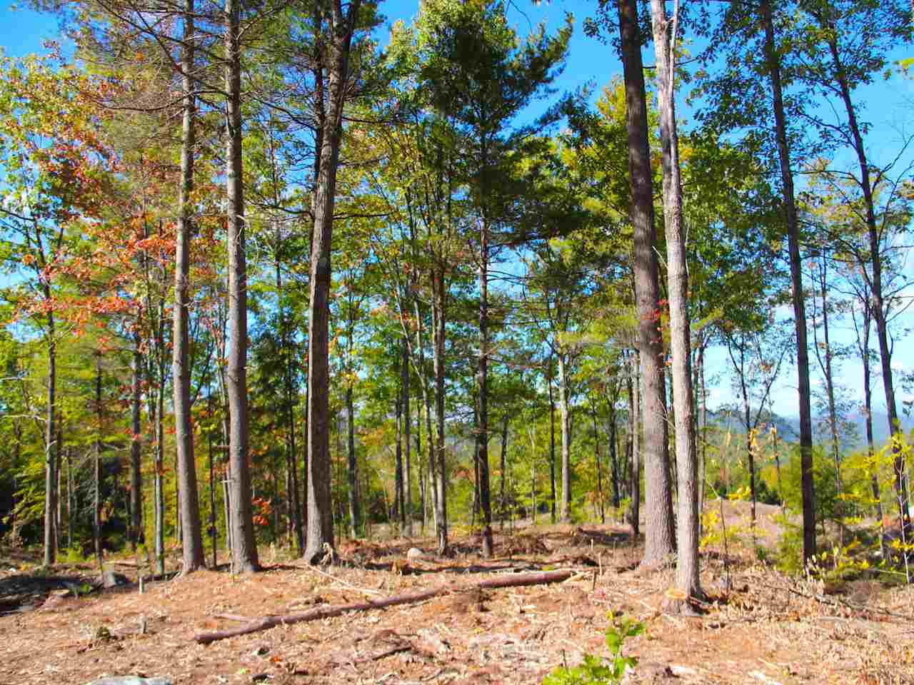 Snow Rd Hill, Unit 4 Hill, NH 03243 - Photo 6 of 14