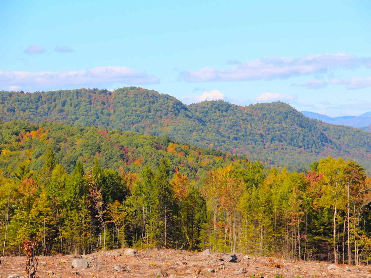 Snow Rd Hill, Unit 4 Hill, NH 03243 - Photo 9 of 14