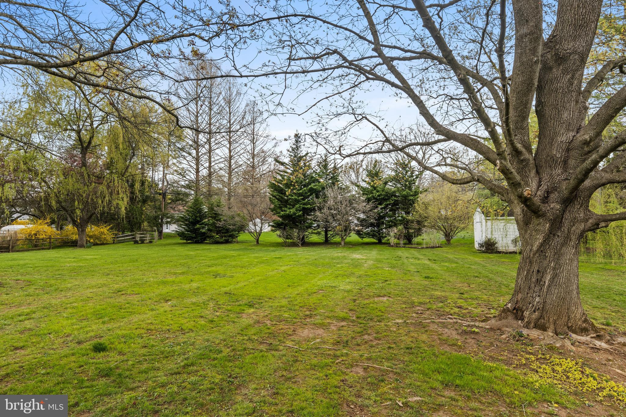 392 Yorkshire Road Bryn Mawr, PA 19010 - Photo 33 of 35 Expansive rear yard with storage shed