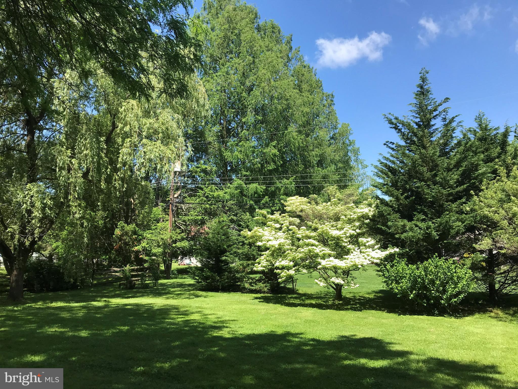 392 Yorkshire Road Bryn Mawr, PA 19010 - Photo 35 of 35 Mature perimeter shrubs & trees provide privacy