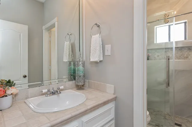 a bathroom with a sink shower and a mirror