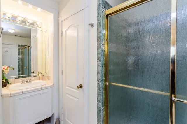 a bathroom with a shower and a sink