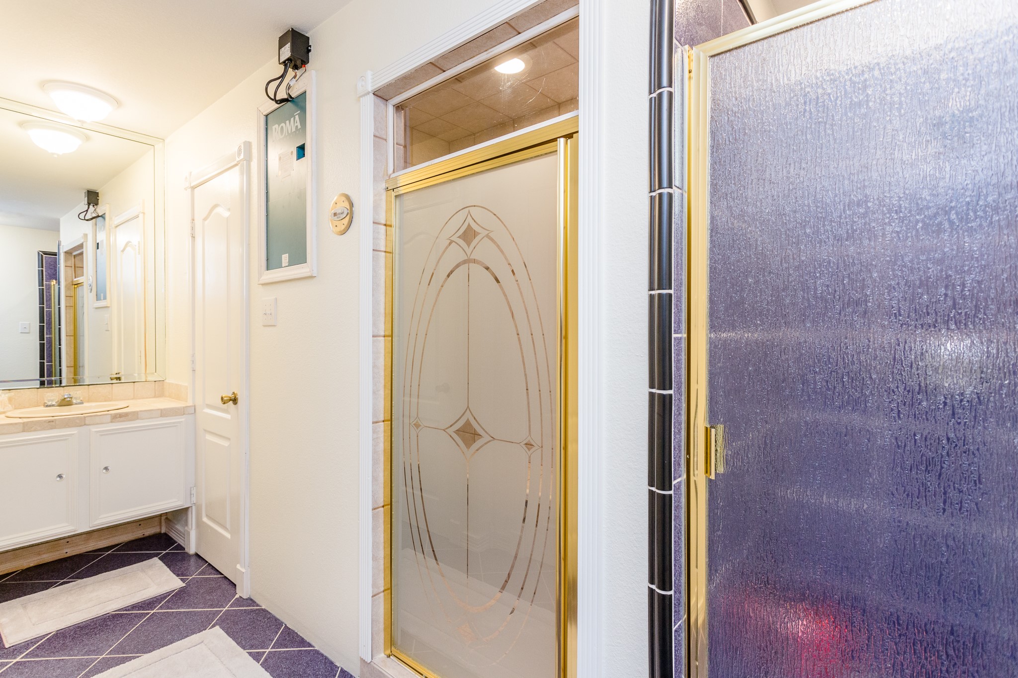 9108 Quail Ridge Drive Manvel, TX 77578 - Photo 36 of 48 Shower and Sauna attached to the gameroom