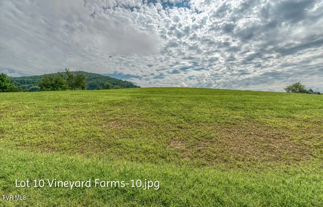 $158,000 | Lot 10 Dry Hill Road, Unit 10, Butler, TN 37640