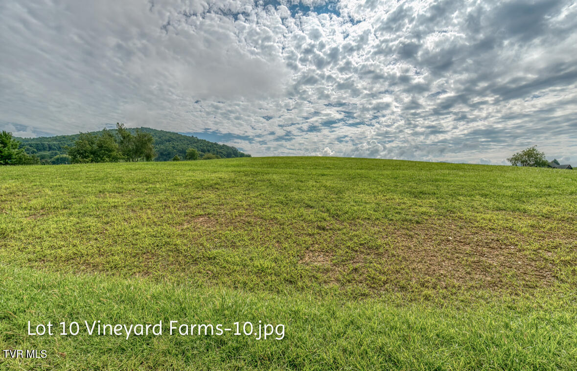 Lot 10 Dry Hill Road, Unit 10 Butler, TN 37640 - Photo 11 of 28 IMG_2984