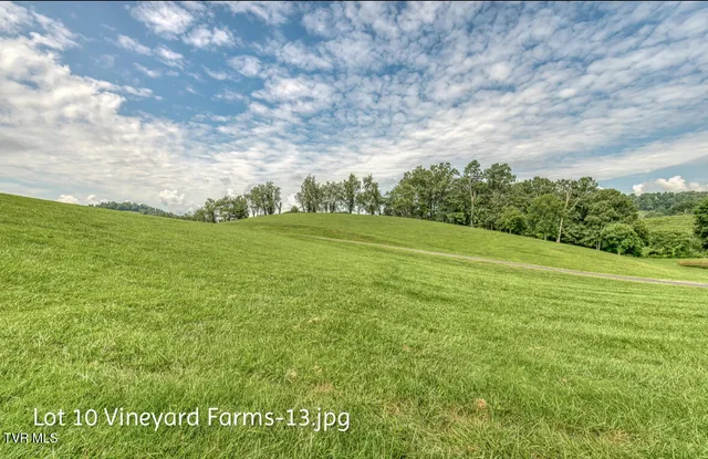$158,000 | Lot 10 Dry Hill Road, Unit 10, Butler, TN 37640