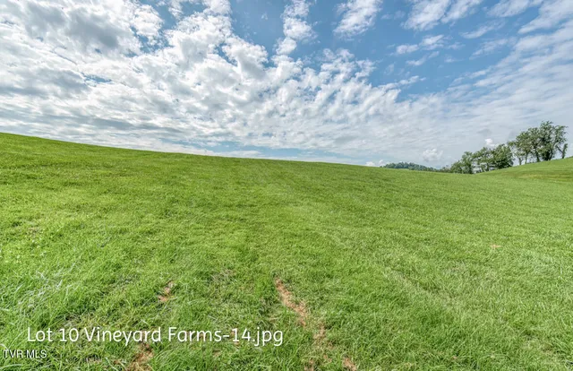 $158,000 | Lot 10 Dry Hill Road, Unit 10, Butler, TN 37640