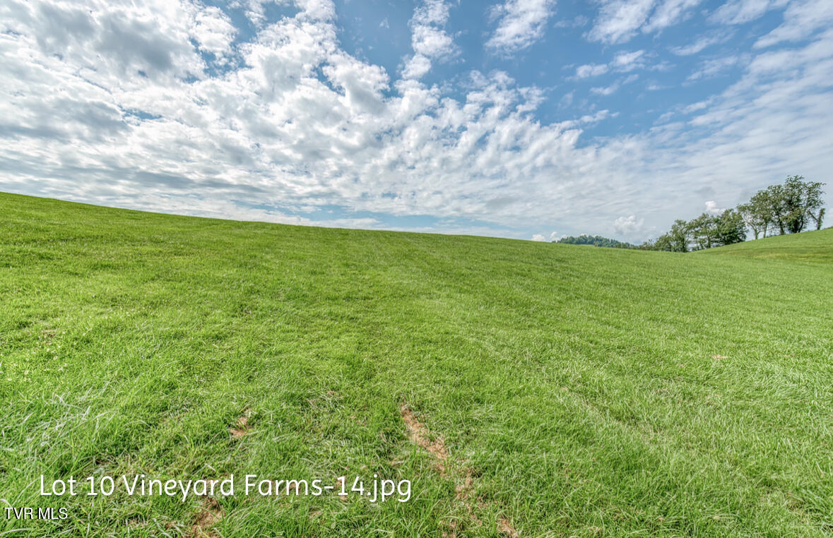 Lot 10 Dry Hill Road, Unit 10 Butler, TN 37640 - Photo 14 of 28 IMG_2988