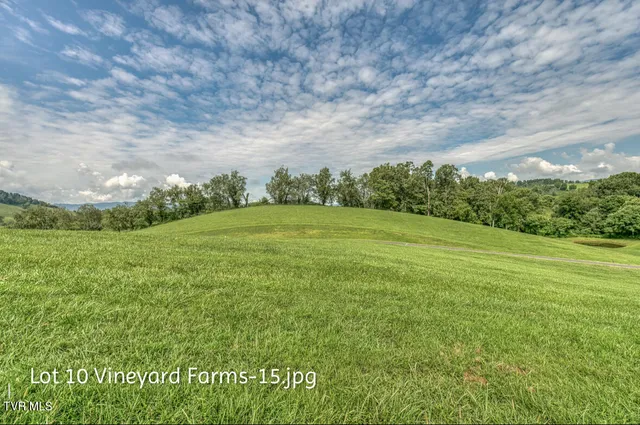 $158,000 | Lot 10 Dry Hill Road, Unit 10, Butler, TN 37640