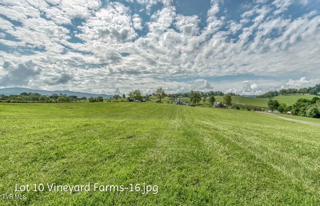 $158,000 | Lot 10 Dry Hill Road, Unit 10, Butler, TN 37640