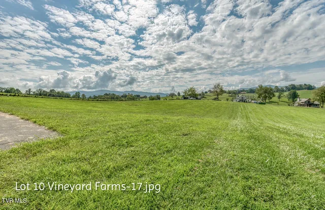 $158,000 | Lot 10 Dry Hill Road, Unit 10, Butler, TN 37640