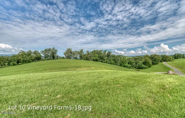 $158,000 | Lot 10 Dry Hill Road, Unit 10, Butler, TN 37640