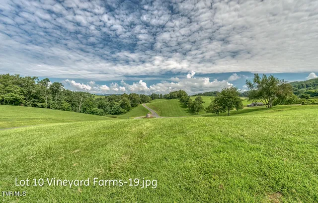 $158,000 | Lot 10 Dry Hill Road, Unit 10, Butler, TN 37640