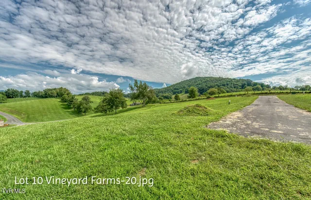 $158,000 | Lot 10 Dry Hill Road, Unit 10, Butler, TN 37640