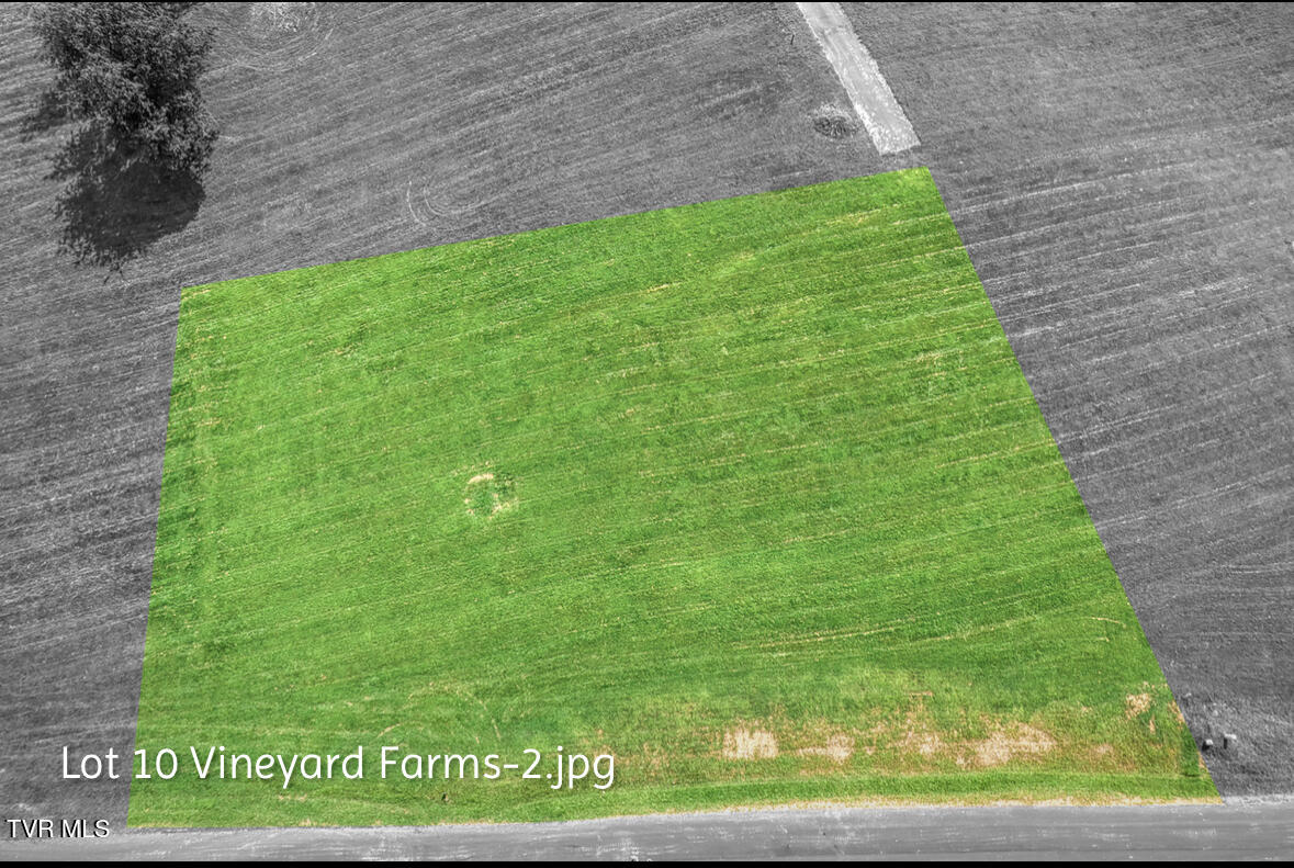 Lot 10 Dry Hill Road, Unit 10 Butler, TN 37640 - Photo 2 of 28 IMG_2976