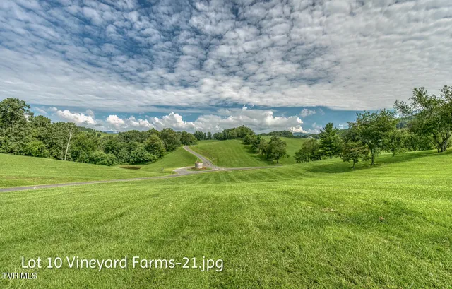 $158,000 | Lot 10 Dry Hill Road, Unit 10, Butler, TN 37640