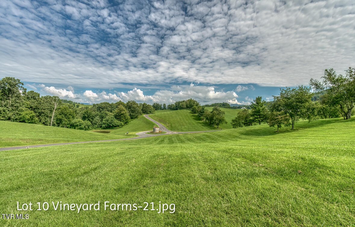 Lot 10 Dry Hill Road, Unit 10 Butler, TN 37640 - Photo 21 of 28 IMG_2995