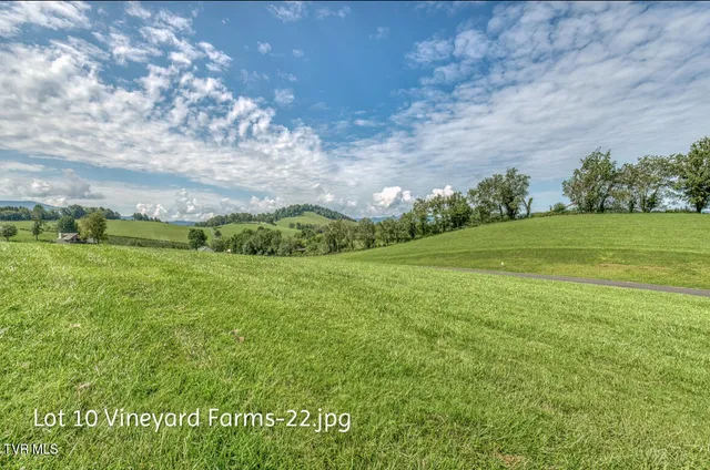 $158,000 | Lot 10 Dry Hill Road, Unit 10, Butler, TN 37640