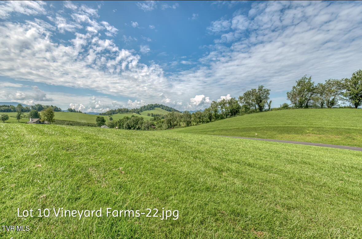 Lot 10 Dry Hill Road, Unit 10 Butler, TN 37640 - Photo 22 of 28 IMG_2996