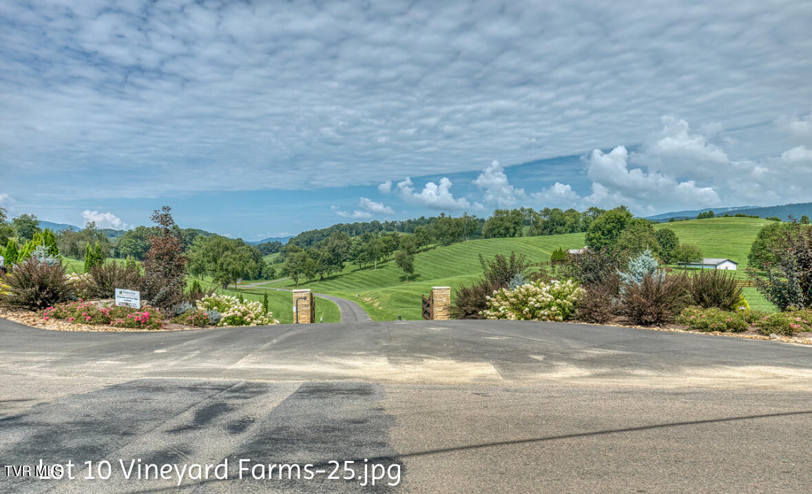 Lot 10 Dry Hill Road, Unit 10 Butler, TN 37640 - Photo 25 of 28 IMG_2999