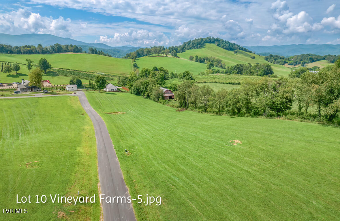 Lot 10 Dry Hill Road, Unit 10 Butler, TN 37640 - Photo 5 of 28 IMG_2979