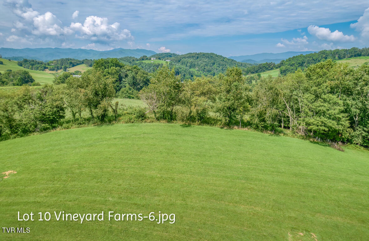 Lot 10 Dry Hill Road, Unit 10 Butler, TN 37640 - Photo 6 of 28 IMG_2980