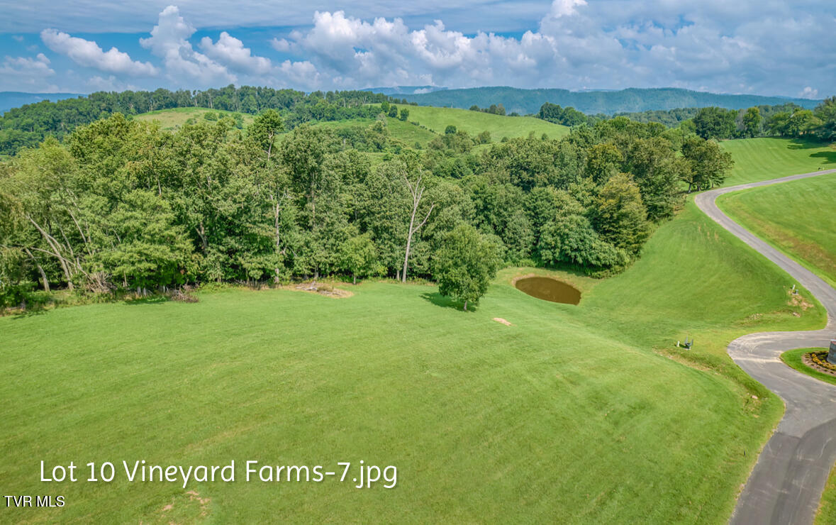 Lot 10 Dry Hill Road, Unit 10 Butler, TN 37640 - Photo 7 of 28 IMG_2981