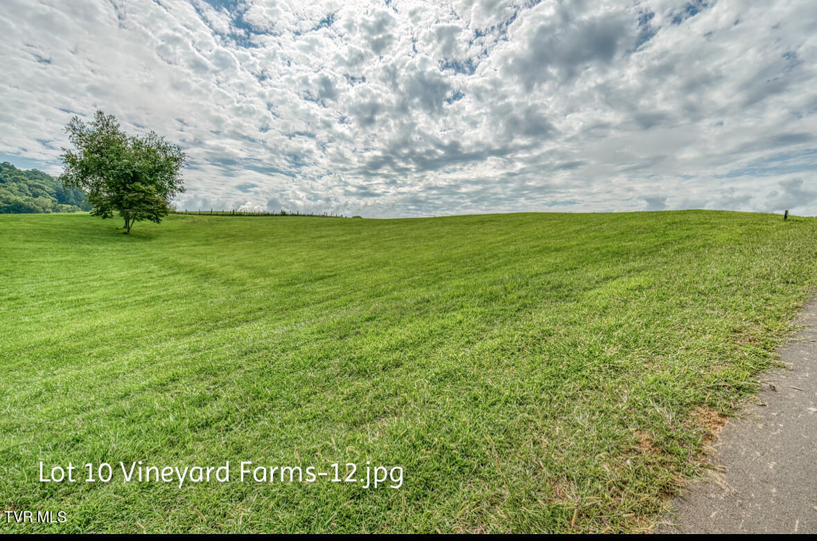 Lot 10 Dry Hill Road, Unit 10 Butler, TN 37640 - Photo 8 of 28 IMG_2986