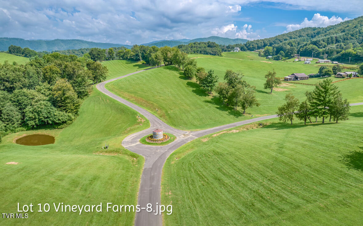 Lot 10 Dry Hill Road, Unit 10 Butler, TN 37640 - Photo 9 of 28 IMG_2982